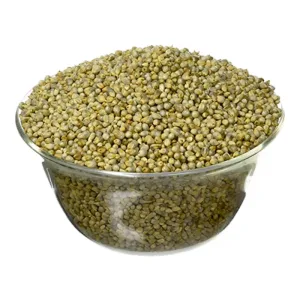 Panji Organic Pearl Millet (Bajri)