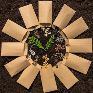 Seeds For Farming