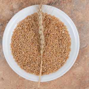 Panji Organic Khapli Wheat