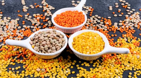 Panji Pulses and Dal